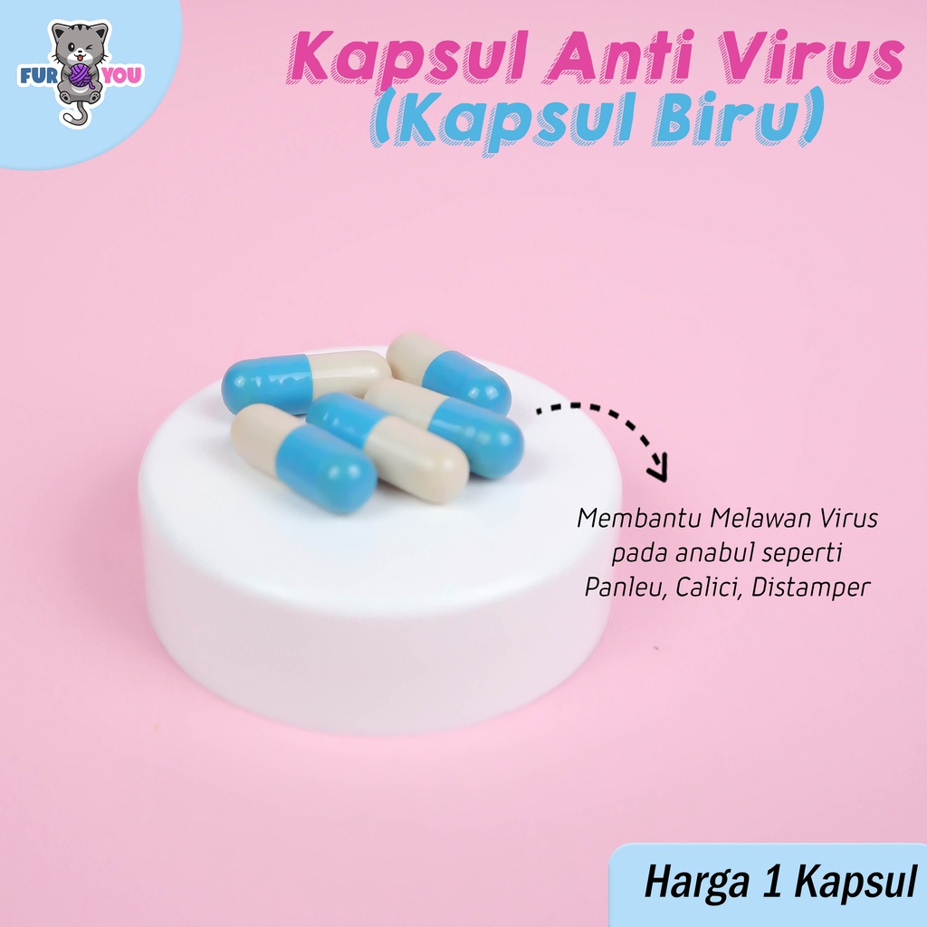 Kapsul satuan Biru Imun Anti Virus Kucing Calici, Panleu dll