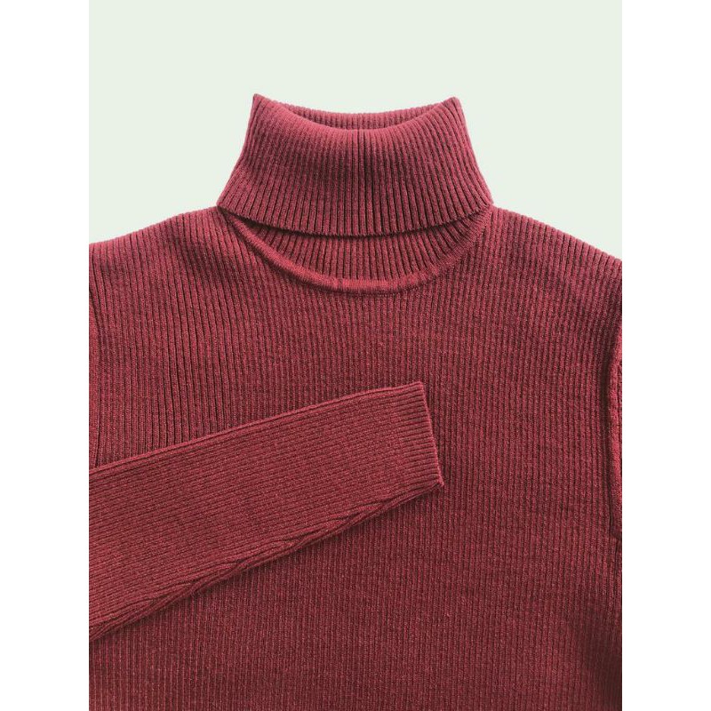 Zion Men Turtle neck pullover - Turtle neck pria