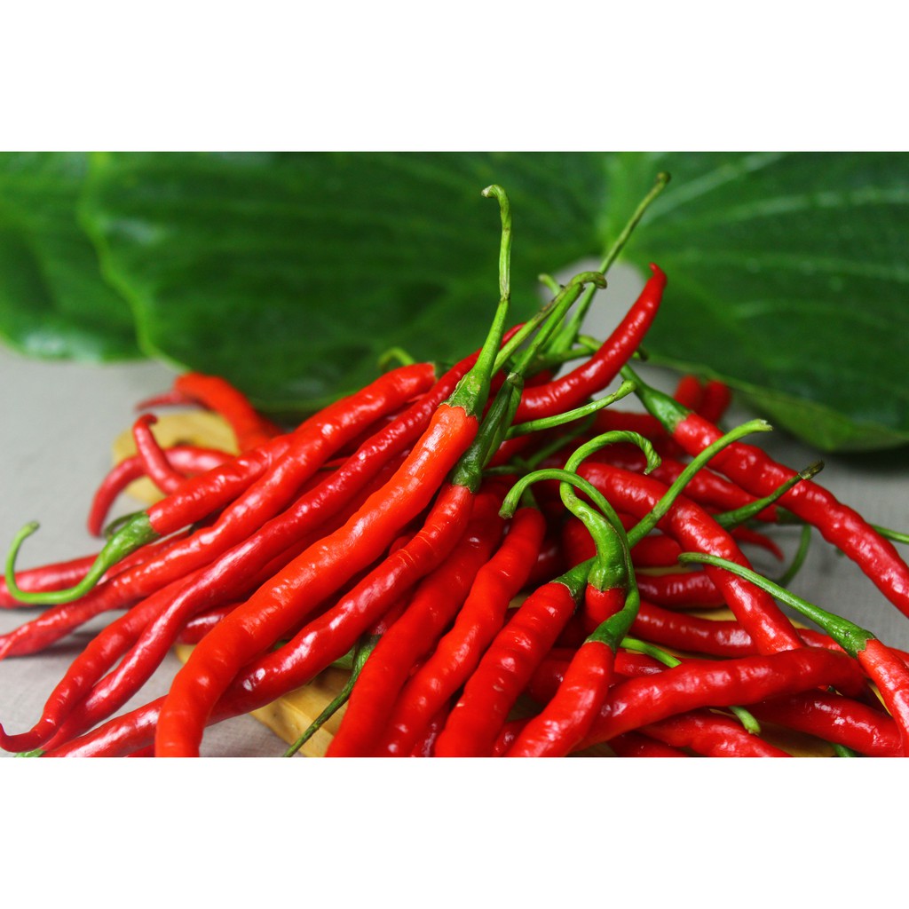 

Cabe Merah Keriting Segar 1 kg