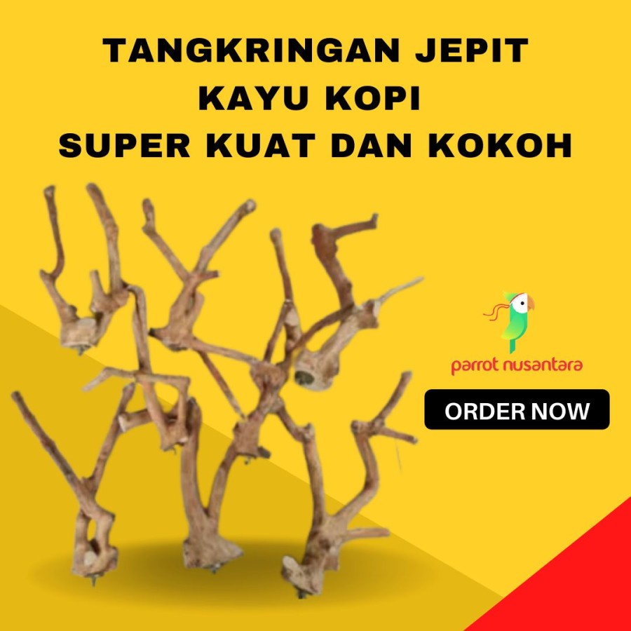 Jual Tangkringan Kayu Kopi Jepit Kokoh Tebal Untuk Burung Iguana Reptile Sg Shopee Indonesia