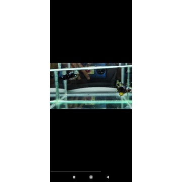 pkdt Rkc & Avatar kuncop