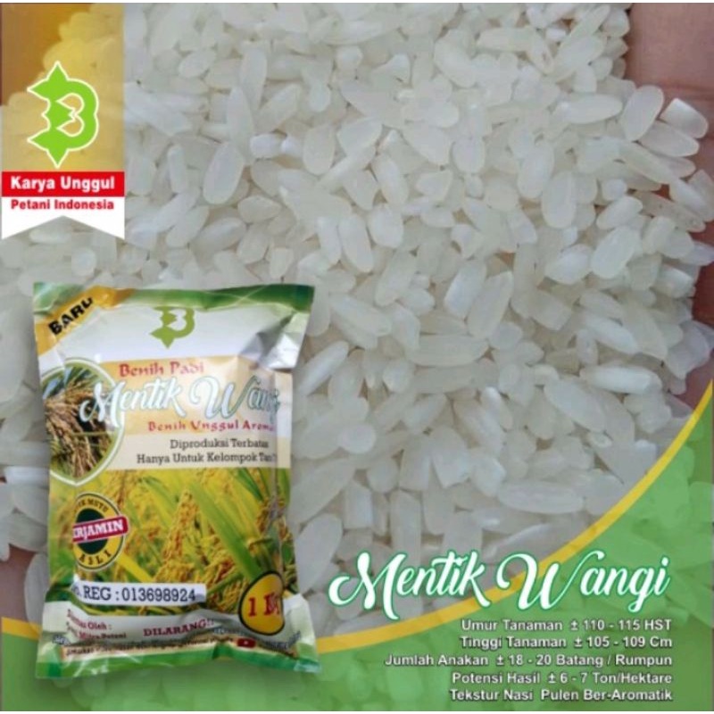 Biji Padi Mentik Wangi Kualitas Super