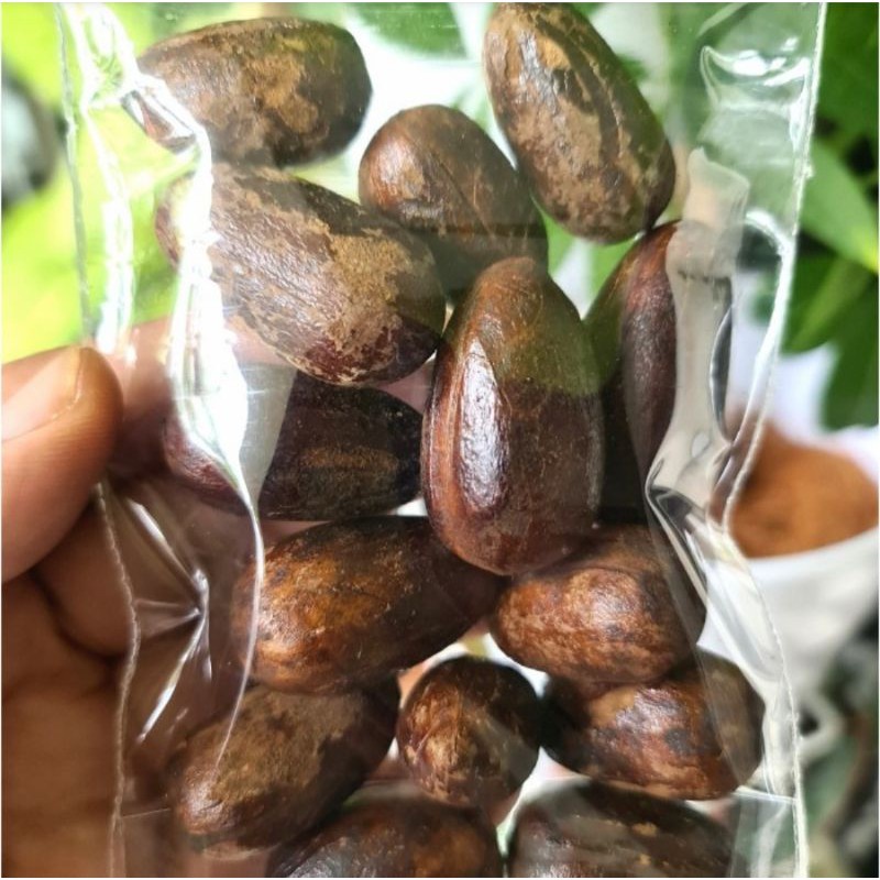 

*tokorosajbg88* Biji Pala Lonjong 100gr Kualitas Bagus - Utuh Masih Ada Kulit