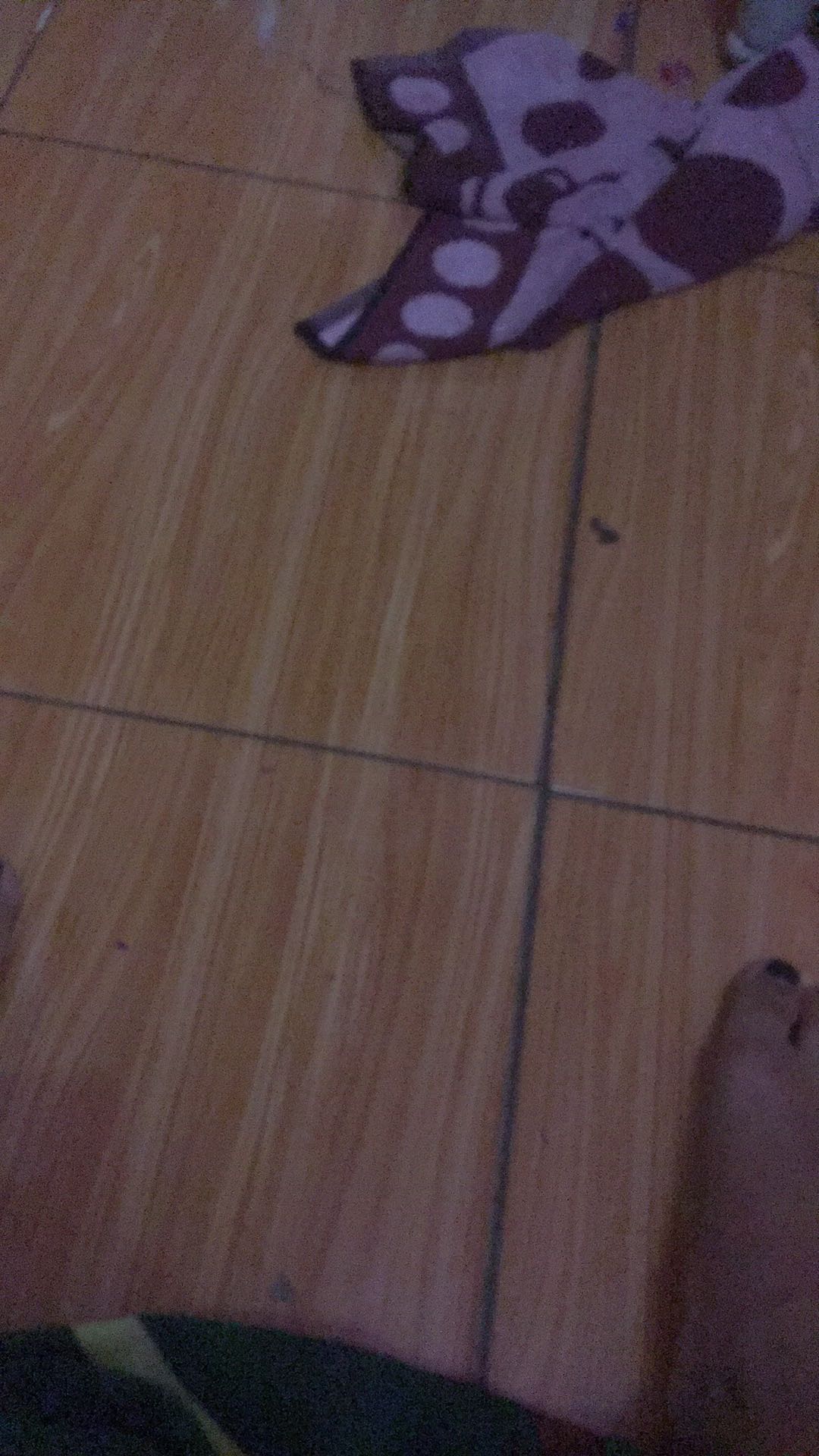 Elemen Kawat Sealer Press Plastik / Element Impulse Sealer 2mm , 3mm / Elemen Kawat Pemanas 20cm