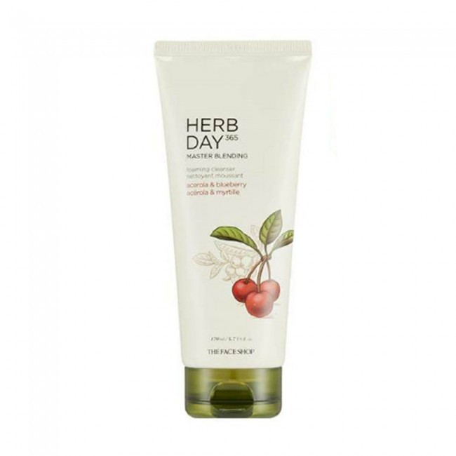 THE FACE SHOP - Herb Day 365 Master Blending Cleansing Foam 170g New Pack