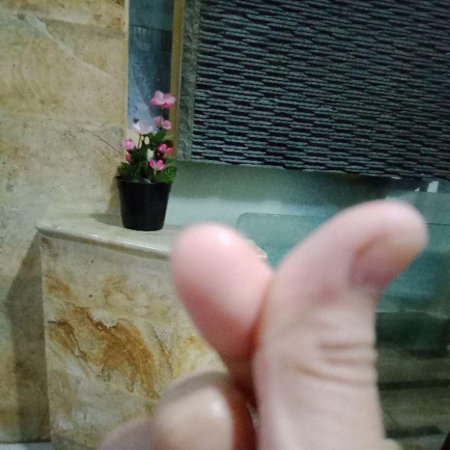 Speedy Chopper Pemotong / Blender Tangan Daging Bawang Buah Dan Sayuran