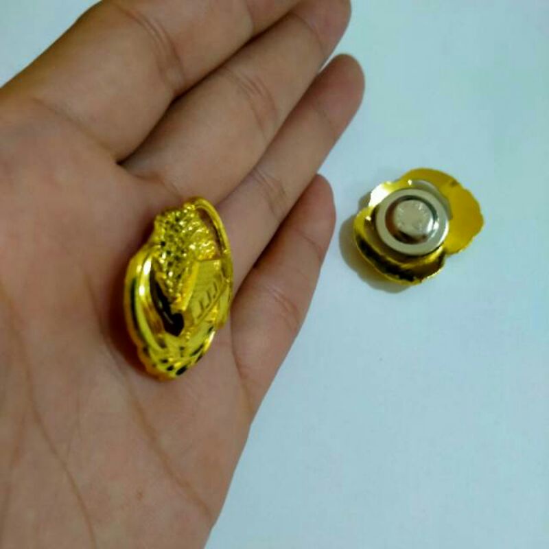 

pin korpri