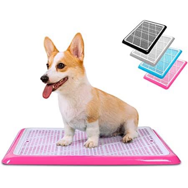 Toilet training tray - anjing kucing dog pipis pup pee alas kandang puppy cat pet