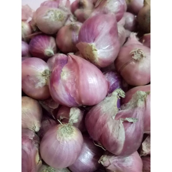 

BAWANG MERAH SUPER 250 gr