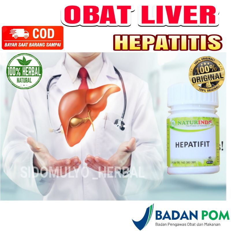 obat liver dan Hepatitis herbal penyakit hati