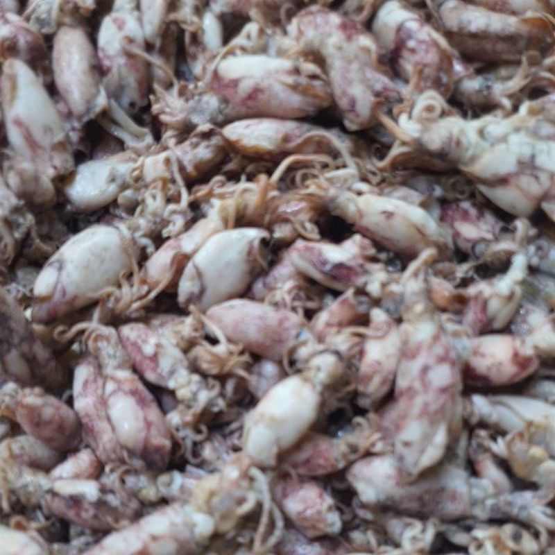 

cumi baby basah medan 250gram