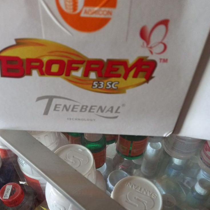 Sudah READY.. BROFREYA