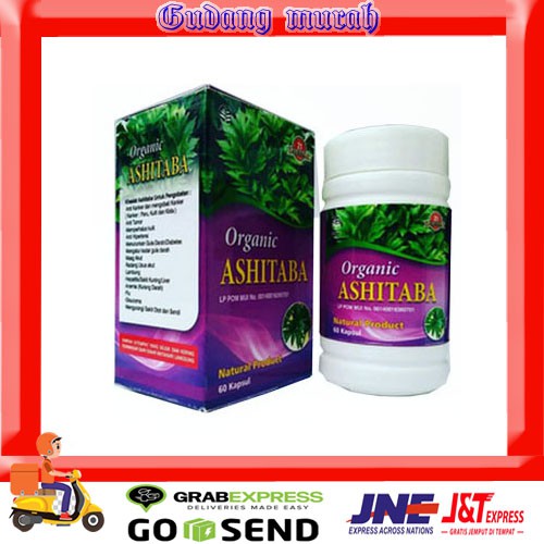 Kapsul organic ashitaba herbal 21