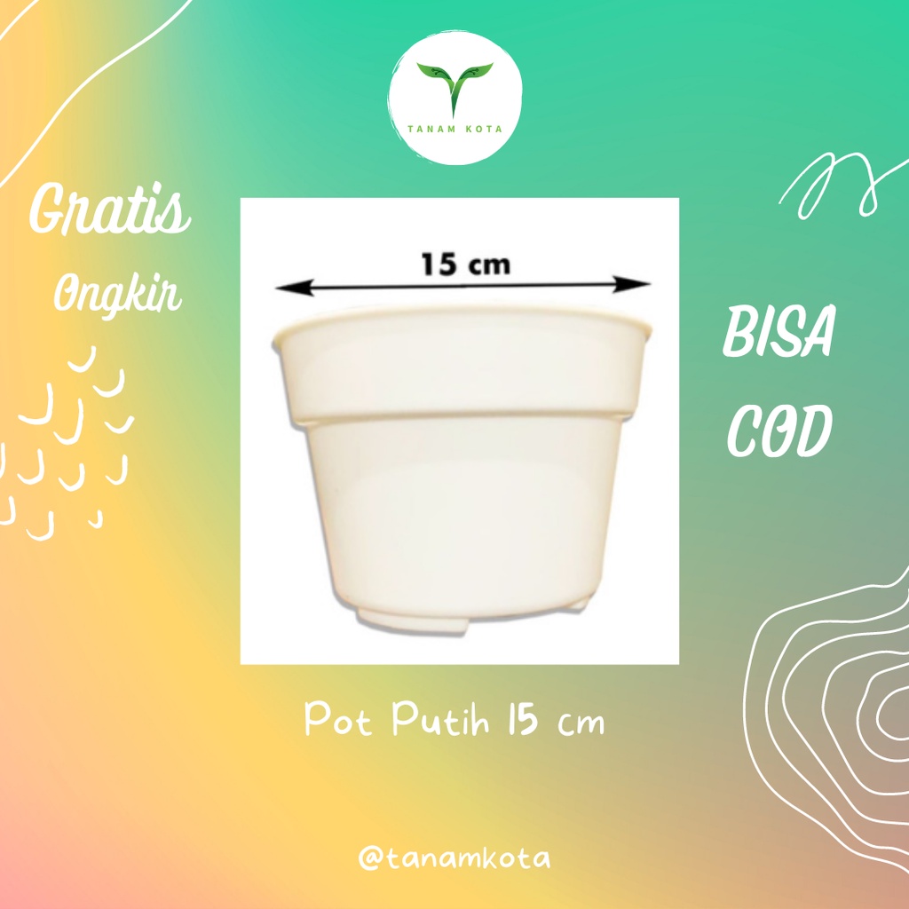 Pot Bunga Kaktus 15 Cm Aesthetic Anggrek Minimalis Sabut Kelapa Aestetic Cantik Putih Estetik Elegan