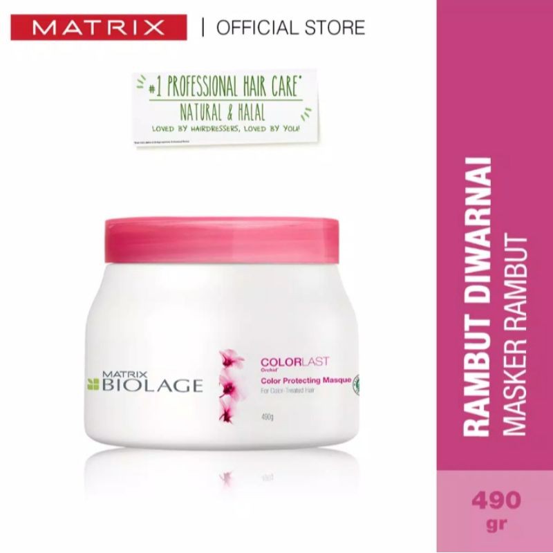 Matrix Biolage Color Protection(Hair Mask Color) 490 gr