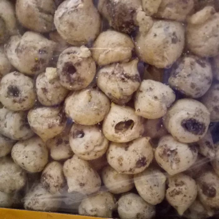 

SOES COKLAT SPESIAL 500Gram