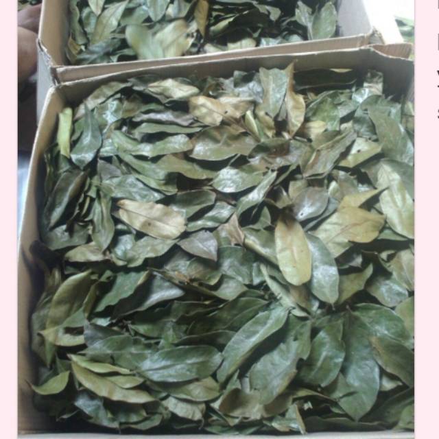 

Daun sirsak kering 500grm
