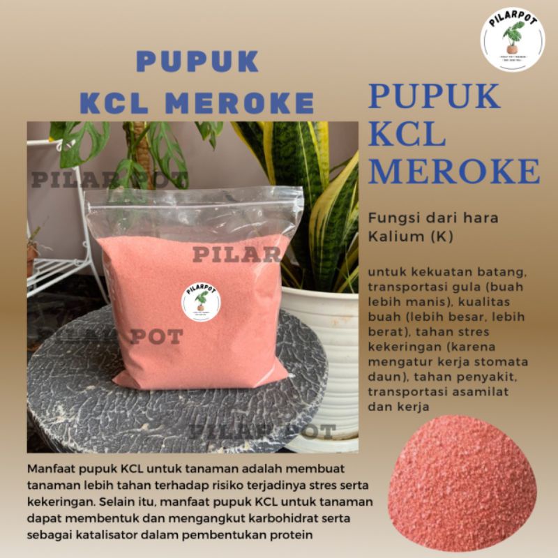 PUPUK KCL MEROKE MOP KEMASAN REPACK 1 KG - KCL MEROKE MOP REPACK