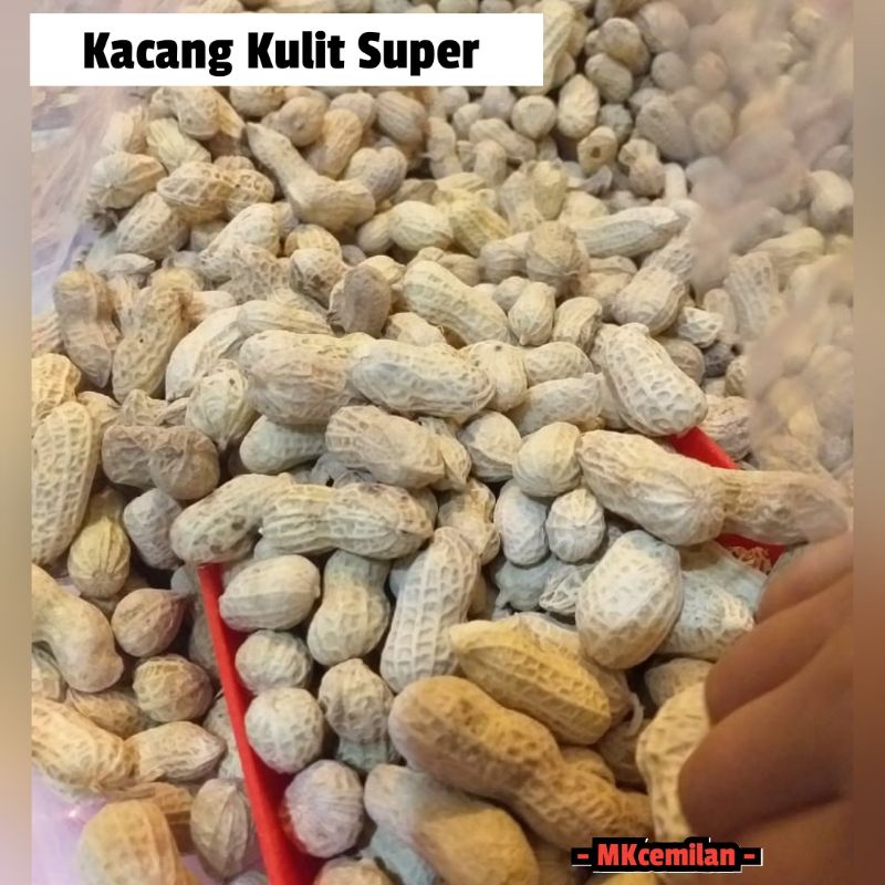 

Kacang Kulit Super 500gr