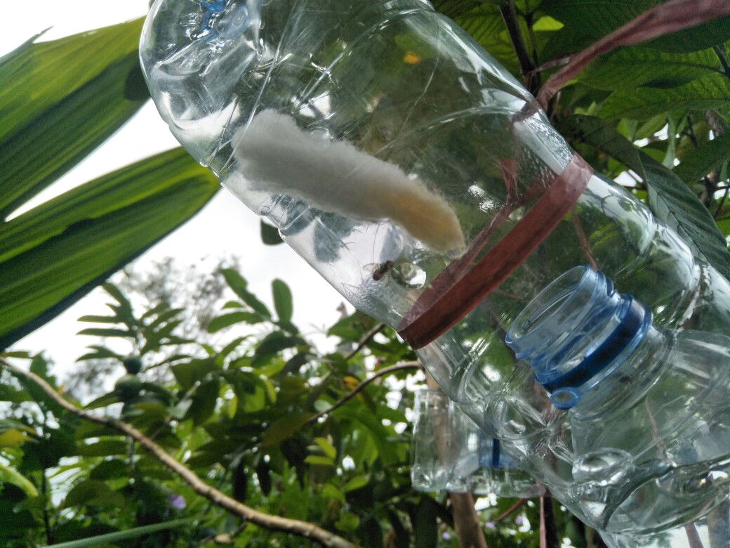 Polybag Polibek Polybeg 40x40 Cm Per Lembar