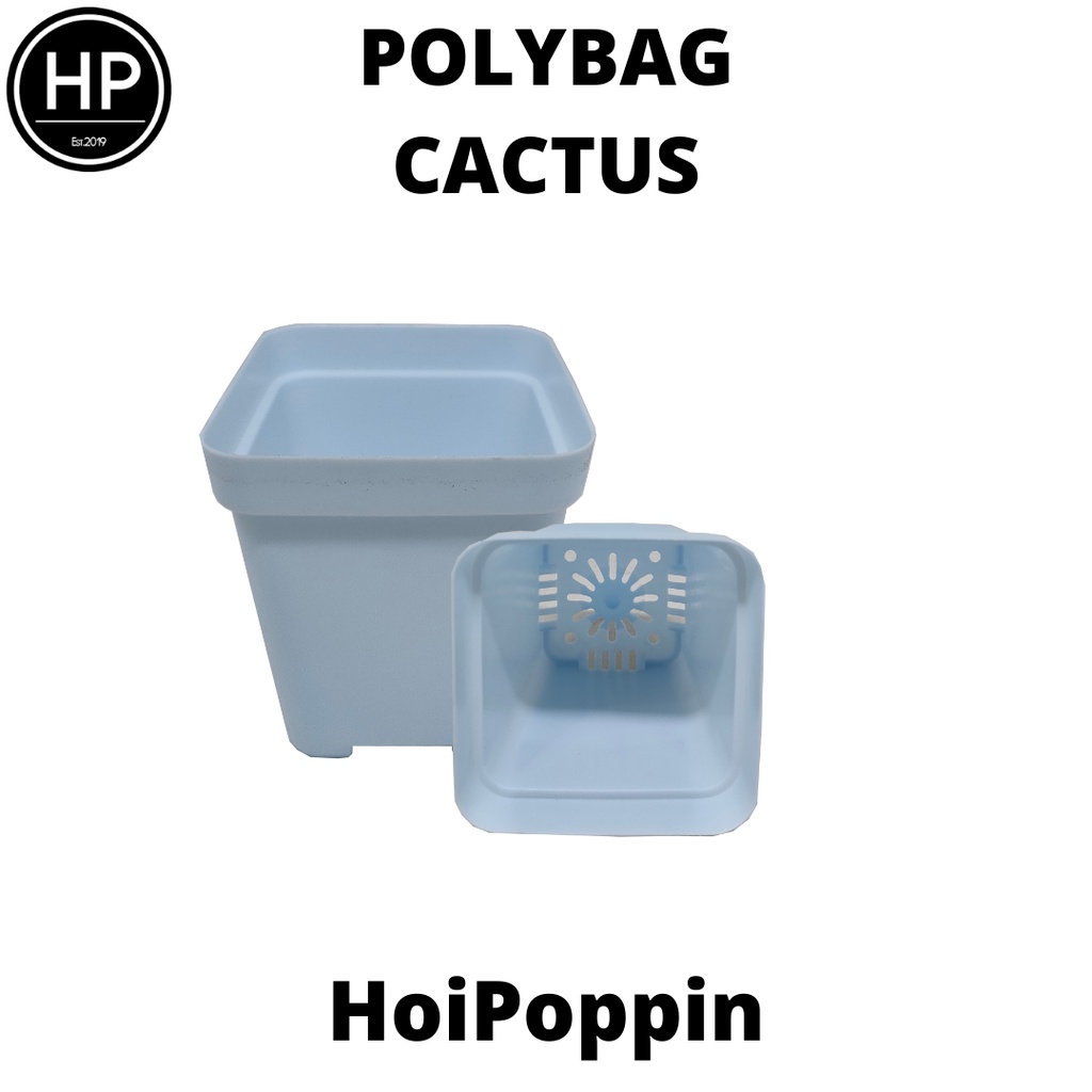 HPP - Polybag (Biru) - cactus polybag - pot cactus - pot elastis - pot dan tatakan - pot - pot hias