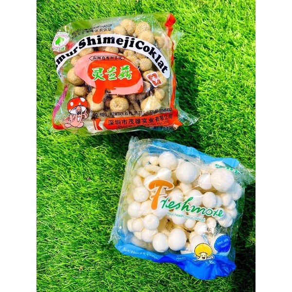 

Jamur Shimeji White & Brown