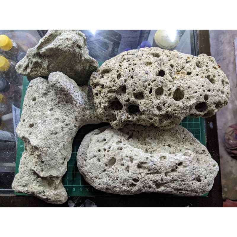 Batu Karang Dead rock untuk Aquamarine dan Aquarium