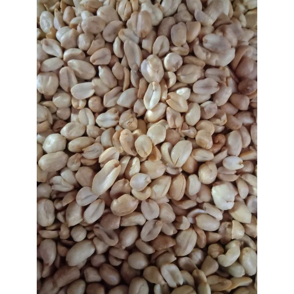 

kacang bawang 250gr