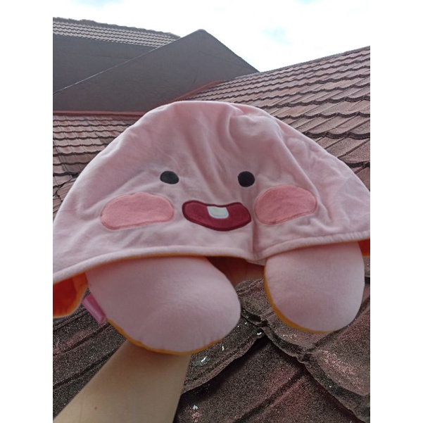 Bantal Leher Bolak Balik Apeach Ryan