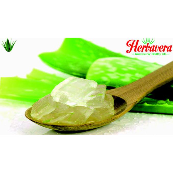 

Uq7S400 Lidah Buaya (Aloevera) Kupas 500 Gram Uu50Ss