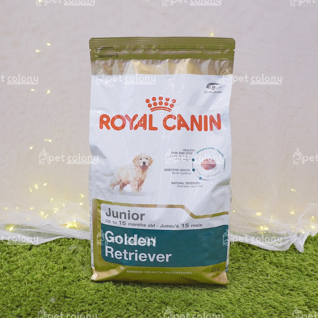 royal canin golden puppy