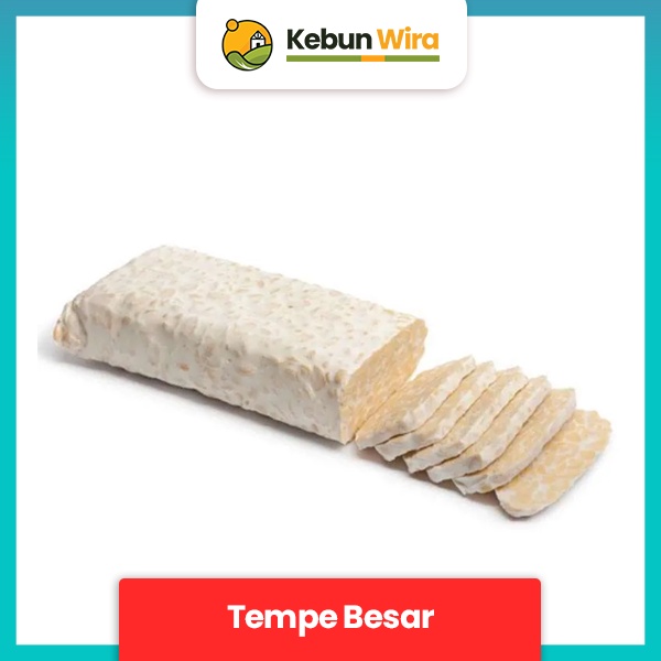 

Tempe Besar | Beancake