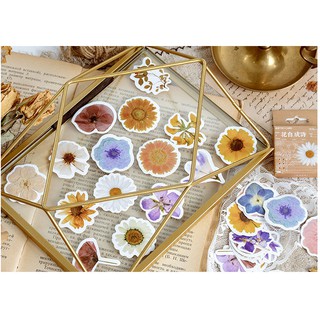 46Pcs Stiker Segel DIY Motif Bunga Universal Shopee 46Pcs Stiker Segel DIY Motif Bunga Universal Shopee