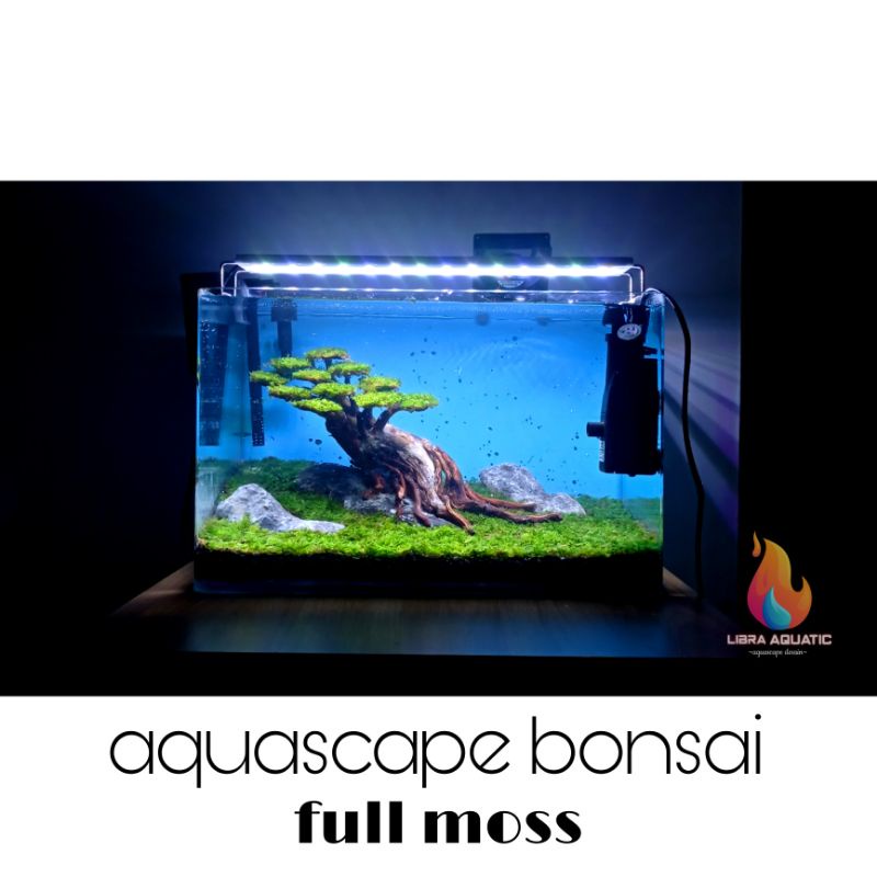 aquascape fullset aquascape bonsai
