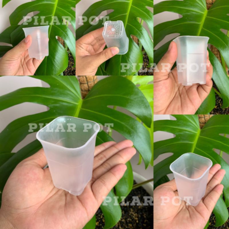 pot bunga tanaman mini kotak bening transparan 5cm - nkt mini