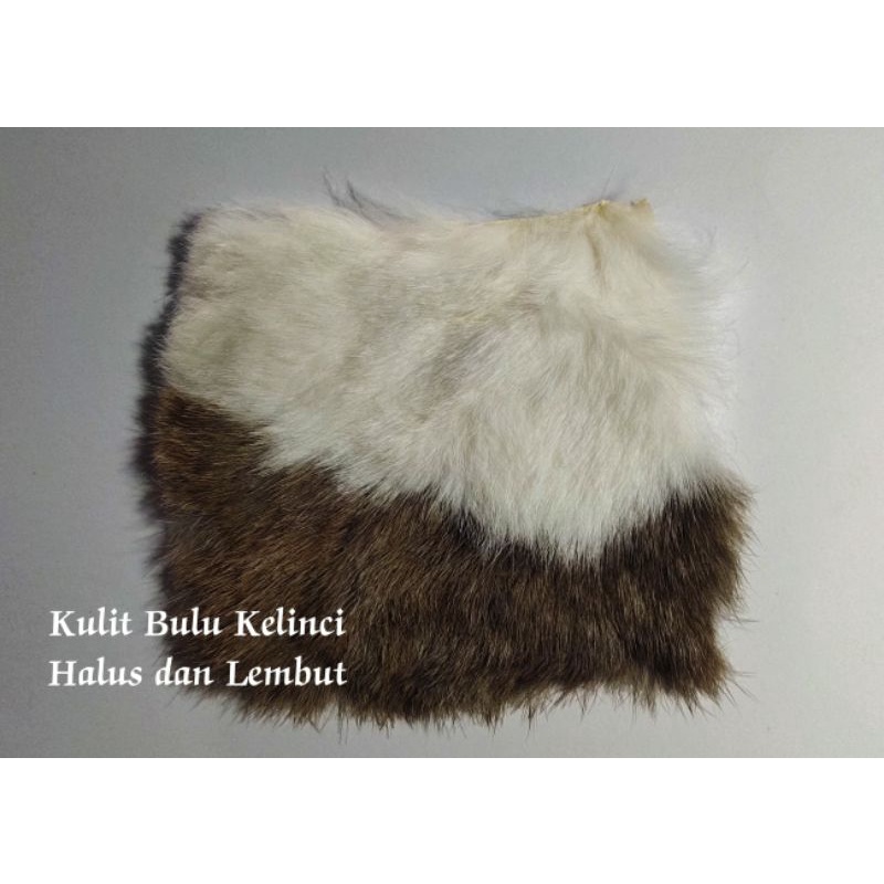 

Bulu Kelinci ukuran 11cm x 12cm