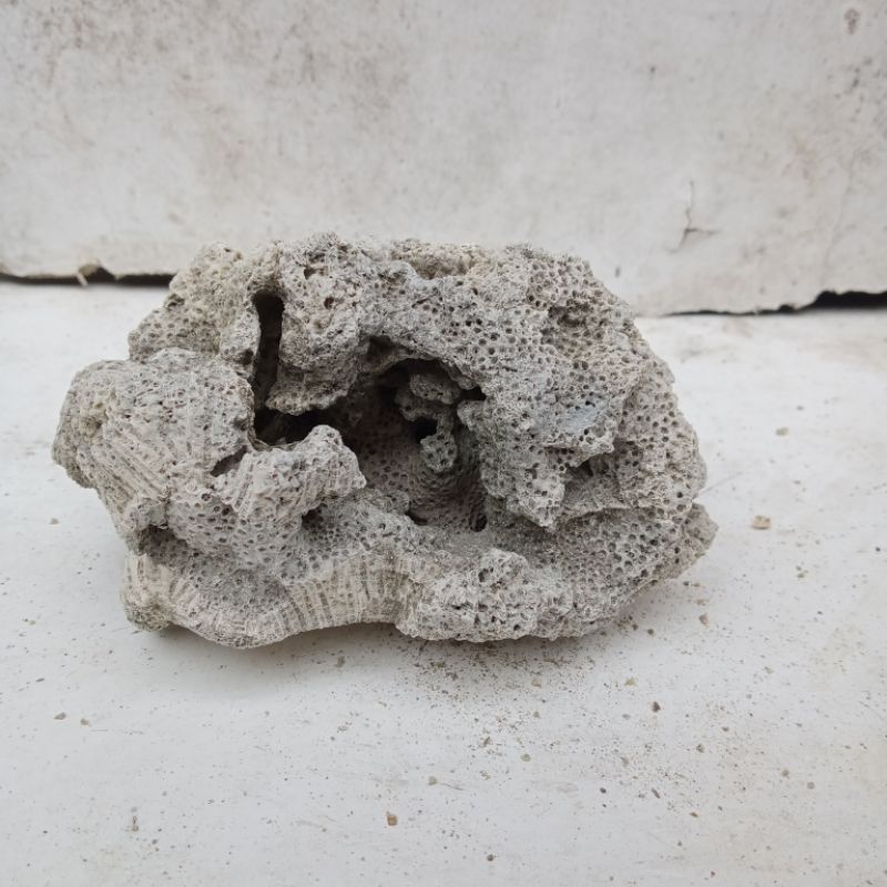 BATU KARANG AQUARIUM AQUASCAPE // RUMAH IKAN HIAS // RUMAH KELOMANG