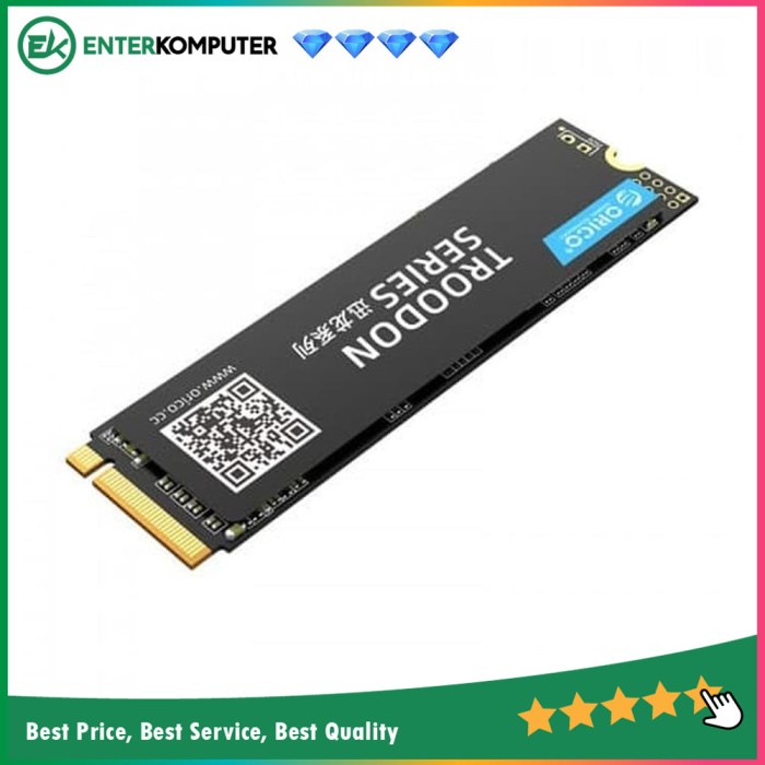 Orico V500 256GB M.2 NVME PCIe 3.0 x4 / SSD 256GB