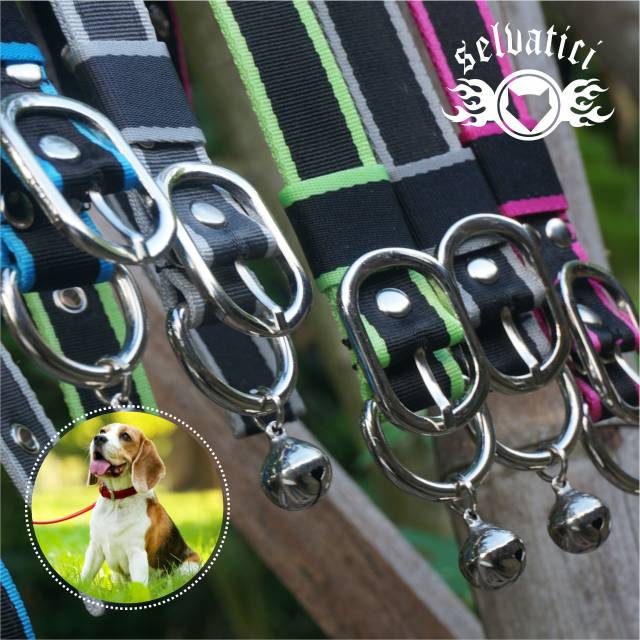 Collar / kalung anjing 2 lapis kuat free lonceng