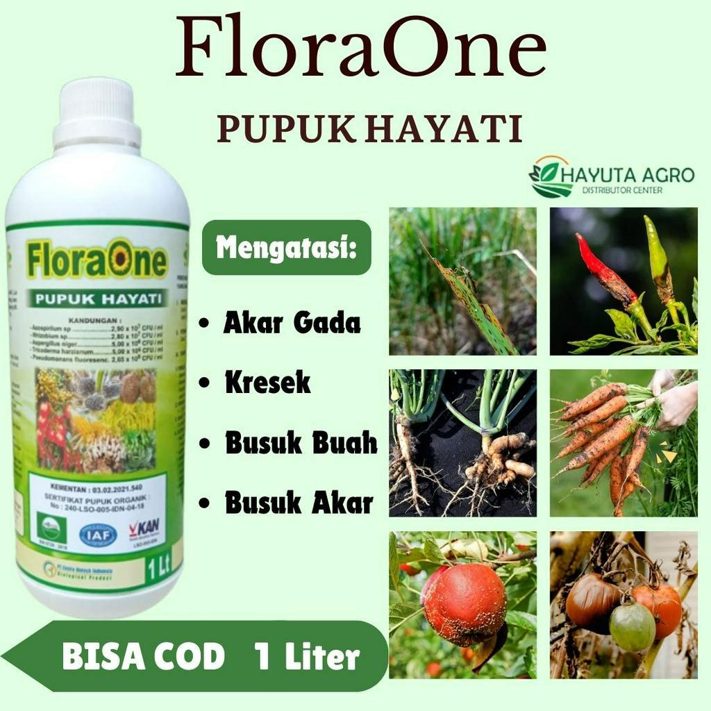 Obat Busuk Batang Pada Tanaman Cabai, BISA COD, Obat Busuk Batang Alami