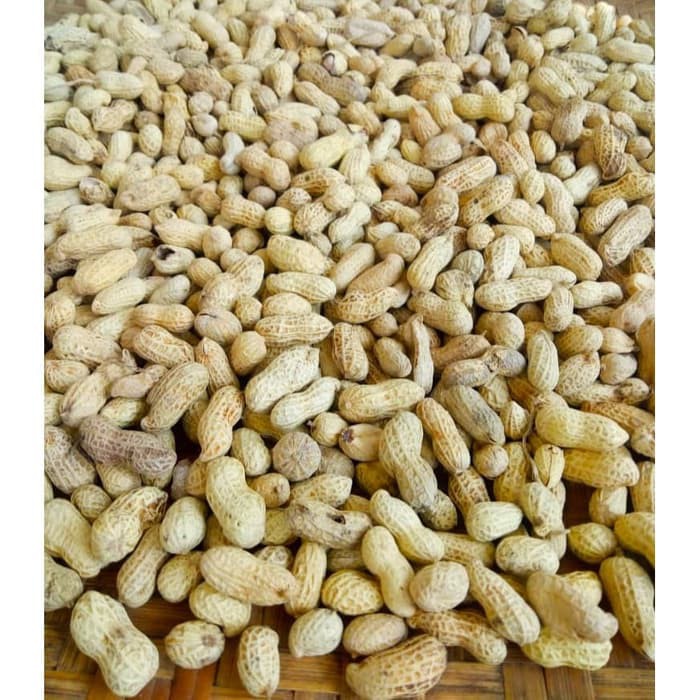 

1 kg kacang kulit original/sangrai