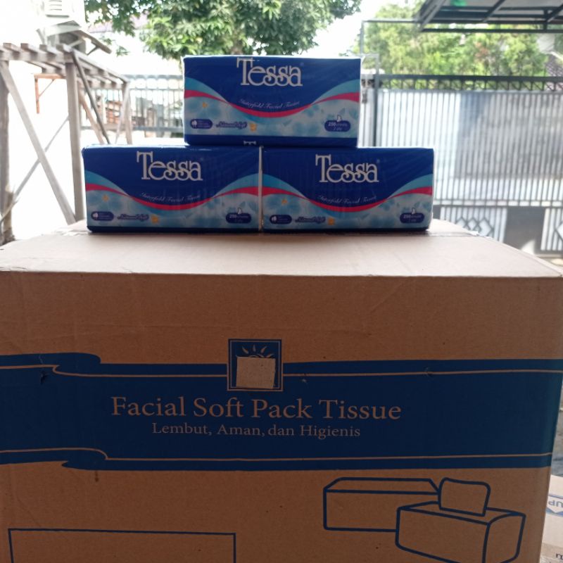 tissue tessa facial 250 sheets