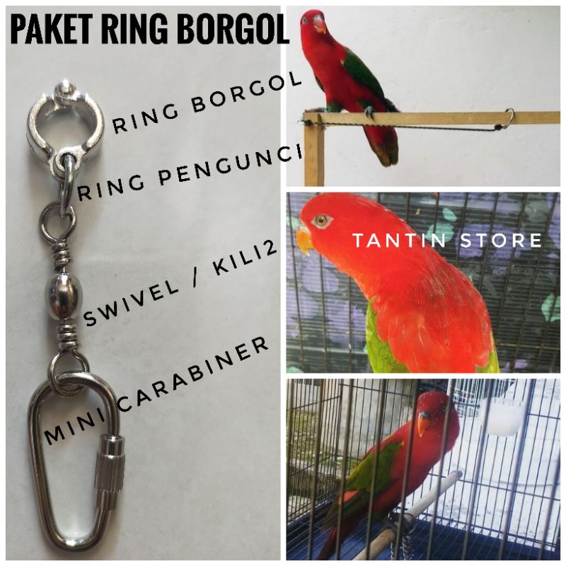 Paket Ring Borgol + Swivel + Mini Carabiner Nuri Ambon