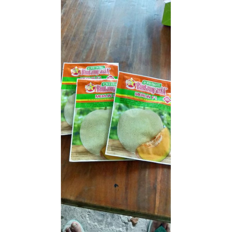 Benih melon Produk Bintang Asia jenis Merlin