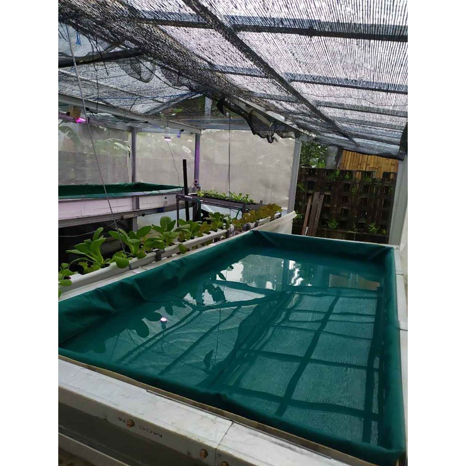 Jual Terpal Kolam Ikan Pvc Orchid X X X X X X X X Terpal