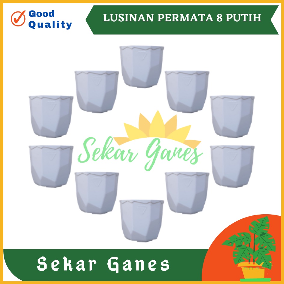 Lusinan Isi 12 Pcs Pot Permata 8CM Putih Pot 8 Cm Putih Lusinan Pot Plastik Kaktus Mini Lucu Murah