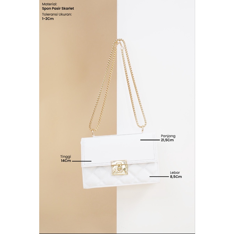 Luxury Gold Chain Bag