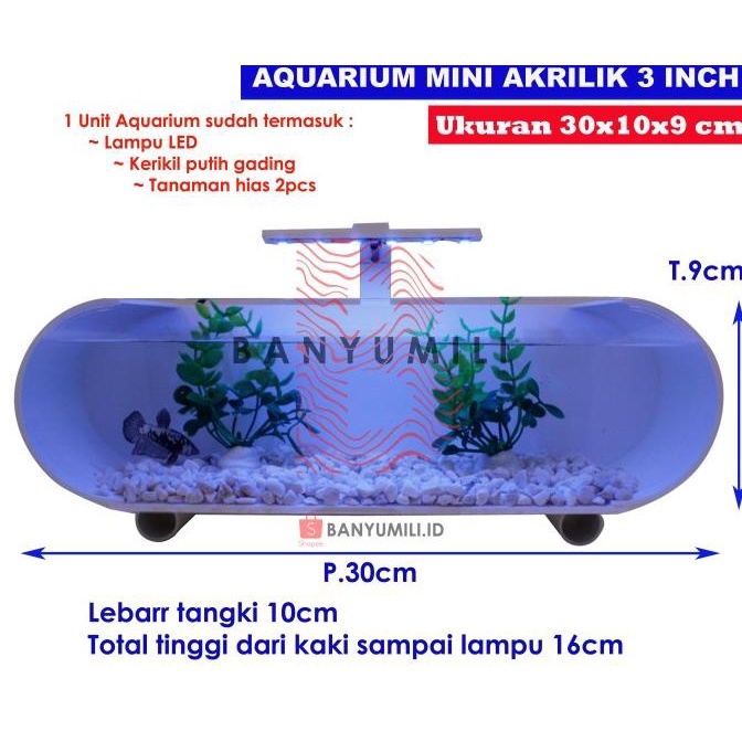 aquarium / aquarium mini / aquarium cupang / aquarium soliter