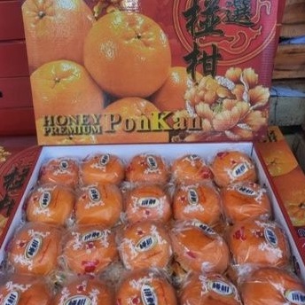 

jeruk ponkam Mandarin 40 pcs gift pack fresh import per dus