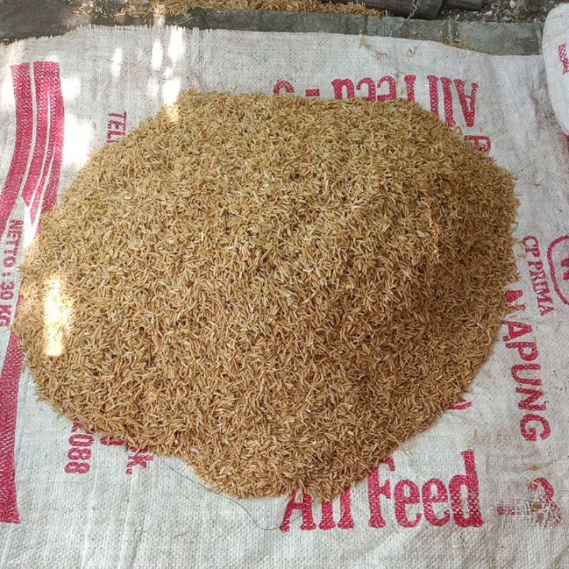 Sekam Padi / Dedak Kasar / Kulit Padi Kering / Mentah Media Tanam